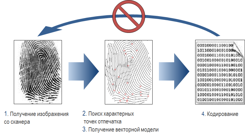 Sectionname ru настройки отпечатков профилей en fingerprints. Распознавание по отпечатку пальца. Схема аутентификации по отпечатку пальца. Отпечаток пальца биометрия. Схематическое изображение отпечатков пальцев.