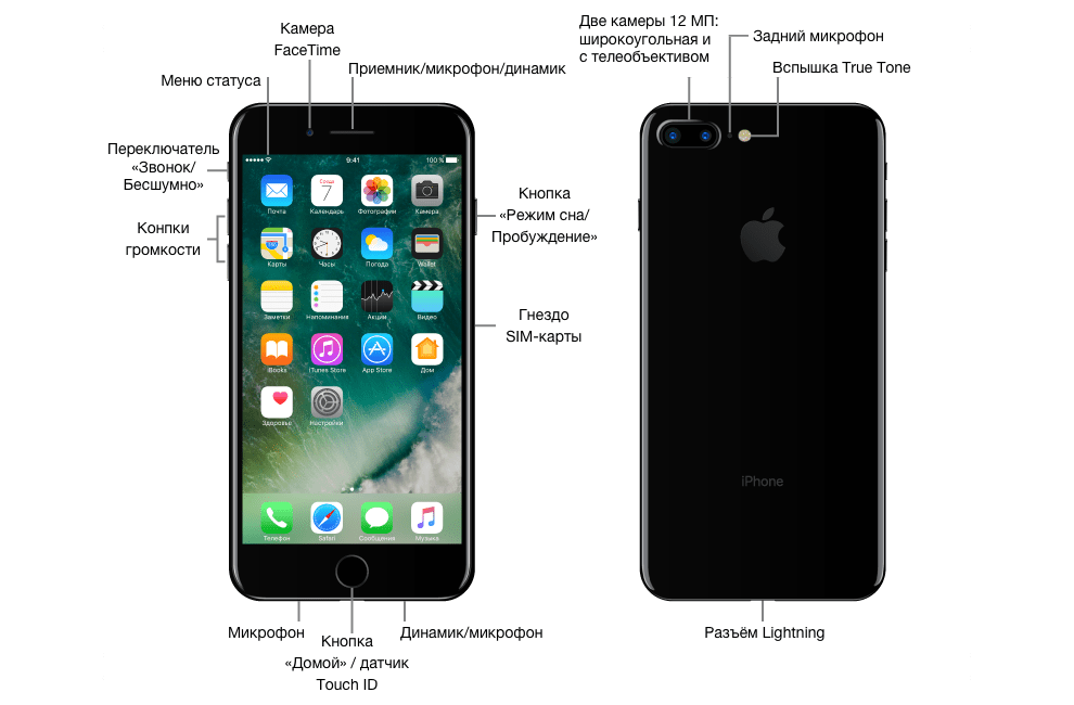 Как пользоваться айфоном. Где находится микрофон на айфон 8 плюс. Где находится микрофон на айфон 7+. Iphone 7 микрофон расположение. Где находится микрофон на айфон 8.