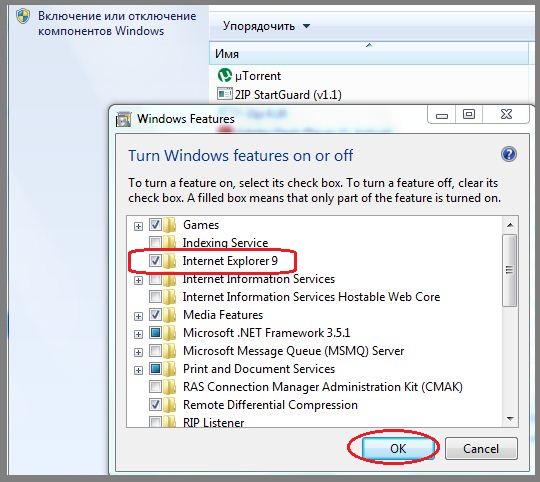 Как отключить браузер internet explorer 2 способа
