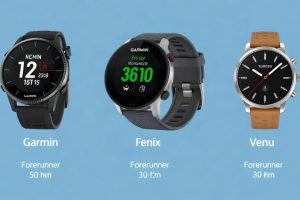 Garmin Forerunner, Fenix и Venu: какая линейка нужна именно вам?