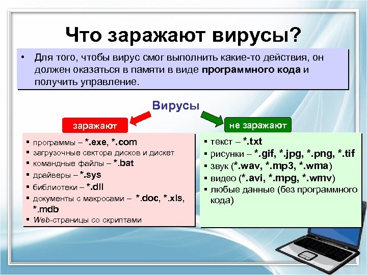 Можно ли в картинку вставить вирус