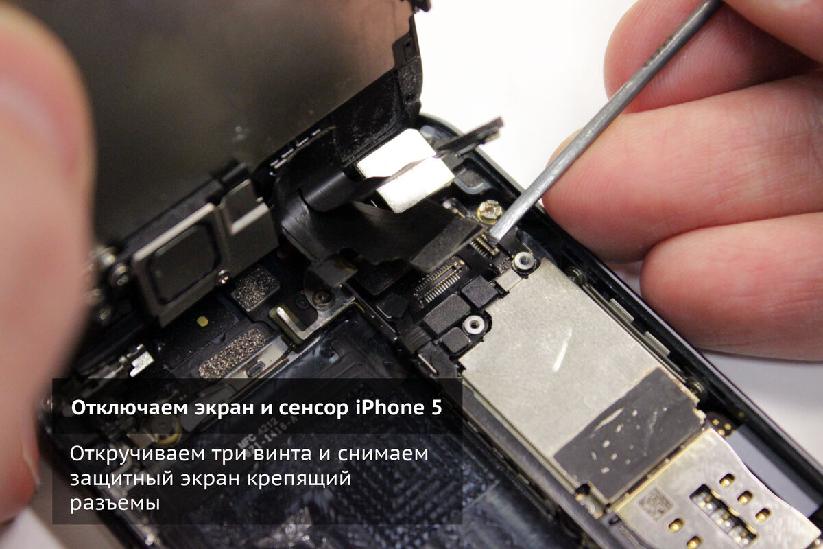 Iphone 11 не работают кнопки