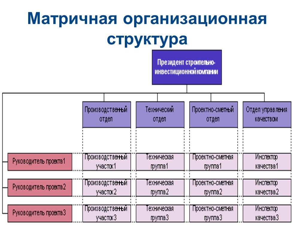 Защита прав миноритарных акционеров