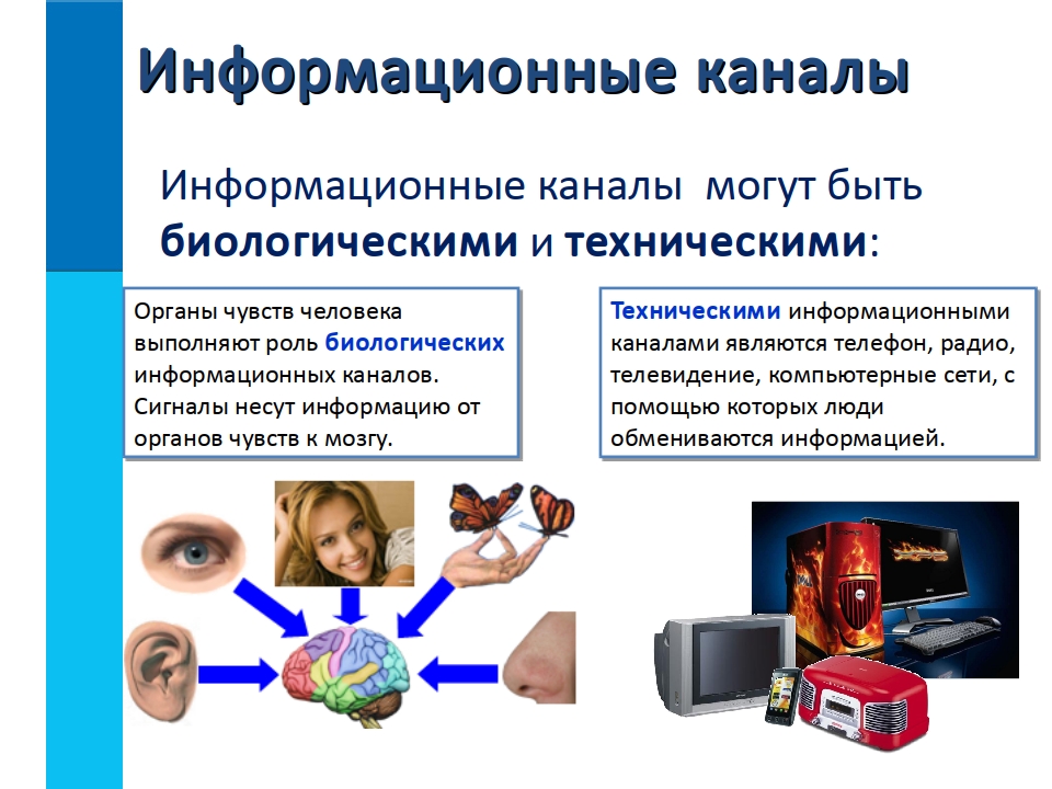 Приведите примеры способов передачи информации по схеме источник человек