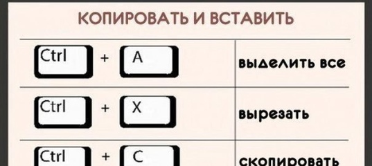 Как вставить скопировать текст с помощью клавиатуры