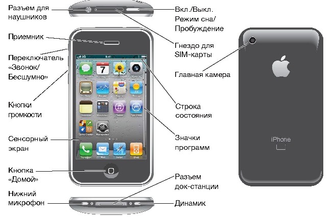 Айфона будут ли работать. Динамики на айфон 8 схема. Где находится динамик у айфона 4. Где находится динамик у айфона 8. Где находится динамик снизу телефона.