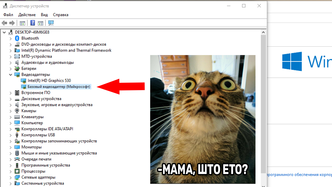 Видеоадаптер майкрософт вместо видеокарты. Базовый видеоадаптер Майкрософт вместо видеокарты. Что будет если удалить базовый видеоадаптер Майкрософт. Телеграмм страница.