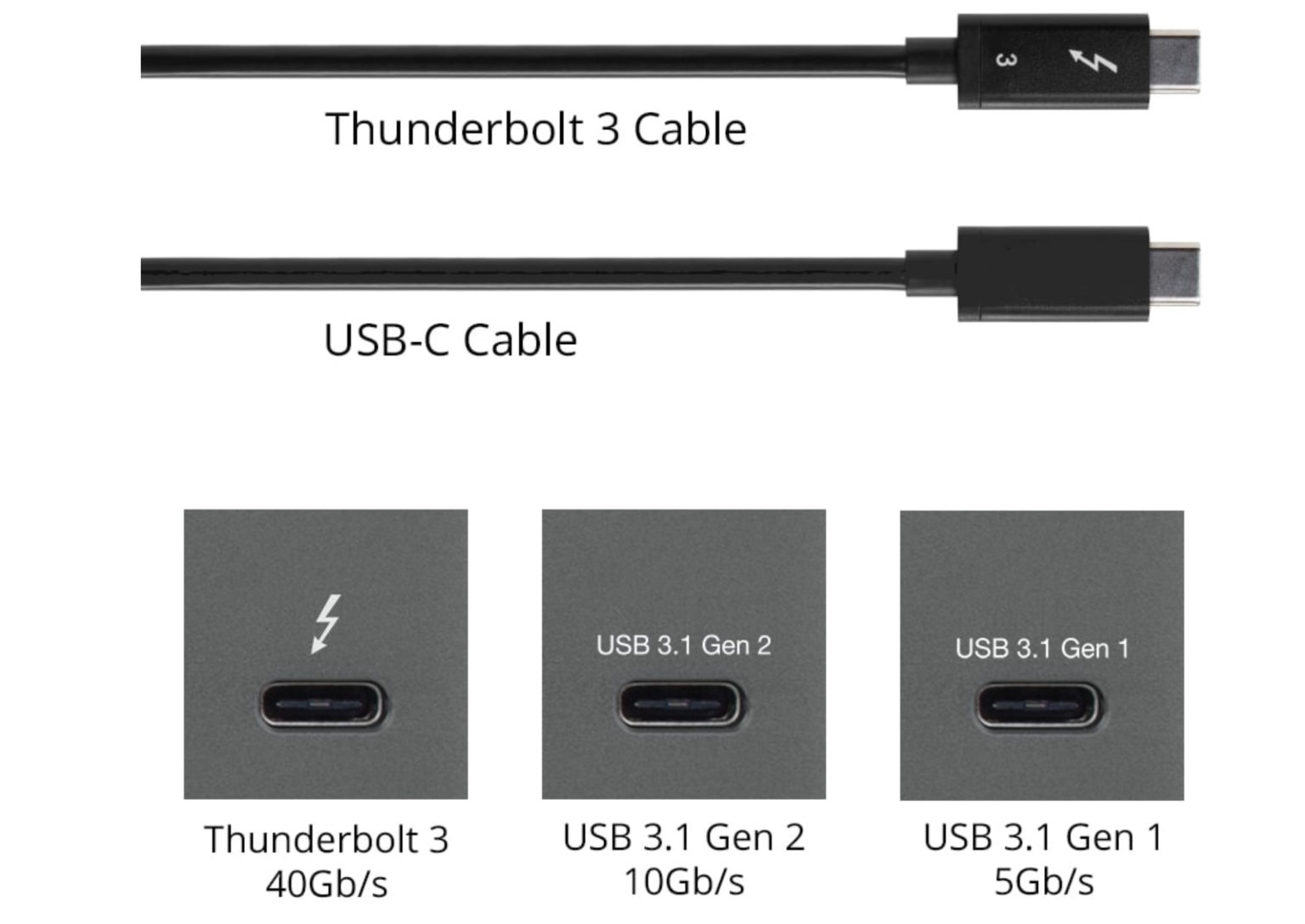 Порт usb c что это фото